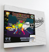 Stegosaurus Paint By Numbers Kit Splat Planet