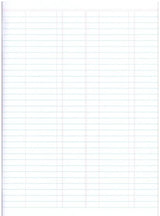 Supreme A4 Business Studies Book 3 - Ledger book