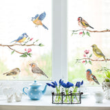 Window Sticker Pack - Garden Birds