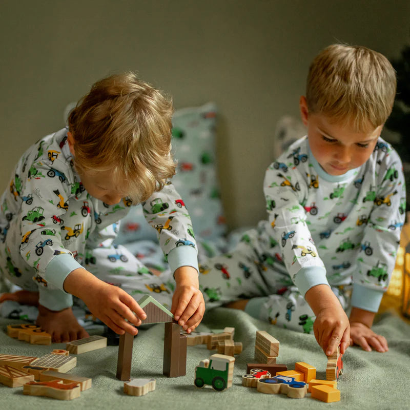Tractor Ted Wooden Farm Play Blocks