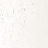 Winton Oil Colour Titanium White 37ml Tube