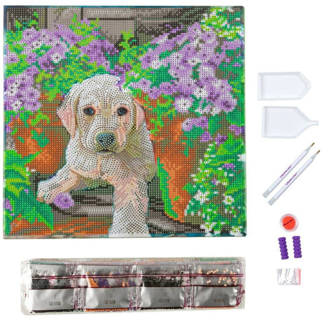 Crystal Art Canvas Kit 30x30cm - Floral Pup
