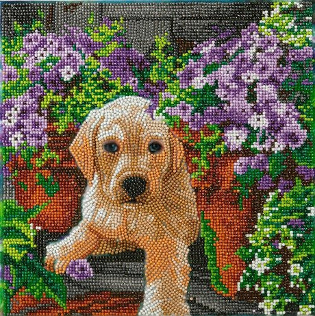 Crystal Art Canvas Kit 30x30cm - Floral Pup