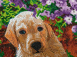 Close-up of a dog's face made from small beads with a colorful background