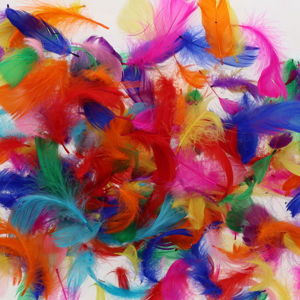 Crafty Bitz Bag Exotic Feathers 10g