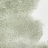 Winsor & Newton Professional Watercolour Davys Gray