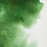 Winsor & Newton Professional Watercolour Hookers Green