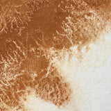 Winsor & Newton Professional Watercolour Magnesium Brown