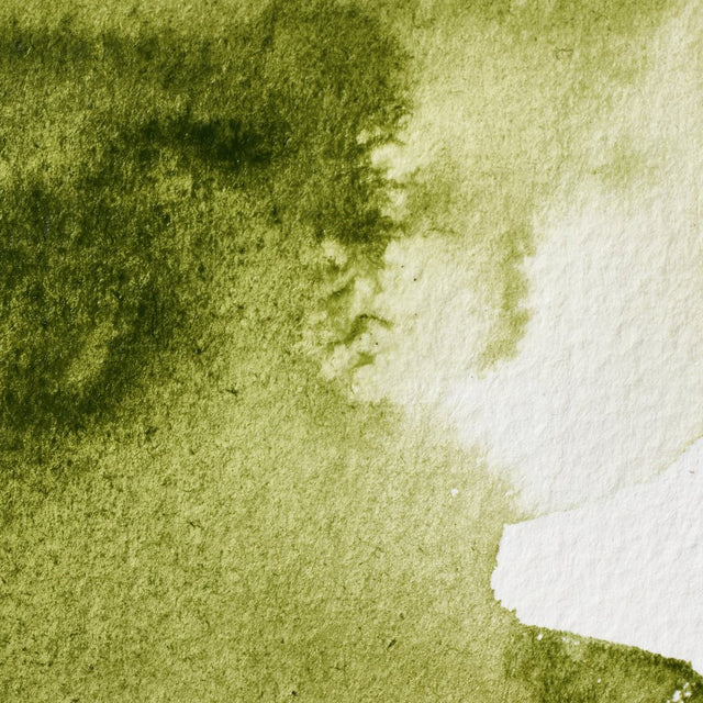 Winsor & Newton Professional Watercolour Olive Green