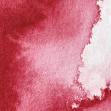 Winsor & Newton Professional Watercolour Permanent Alizarin Crimson