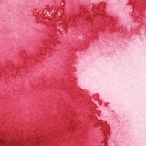 Winsor & Newton Professional Watercolour Permanent Rose