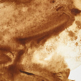 Winsor & Newton Professional Watercolour Raw Umber