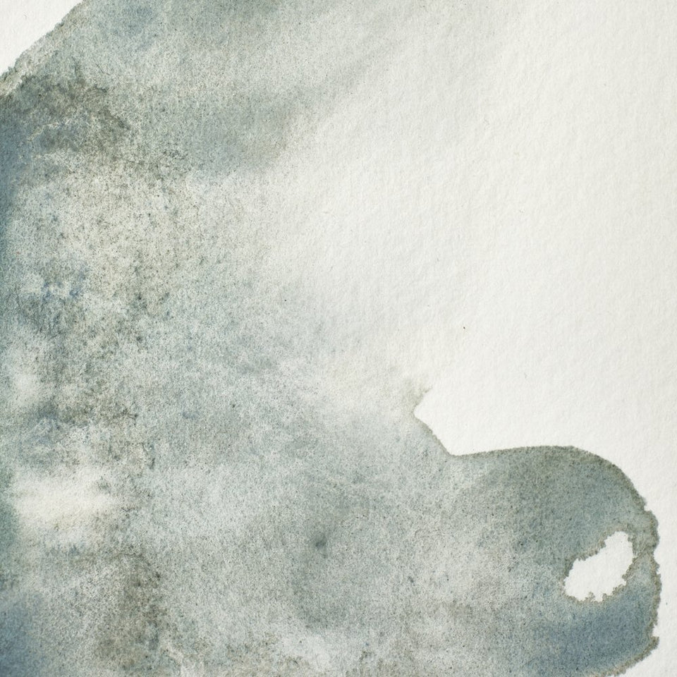 Winsor & Newton Professional Watercolour Series 1 5ml - Mineral Grey