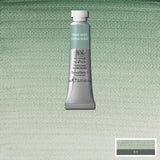 Winsor & Newton Professional Watercolour Series 1 5ml - Terre Verte
