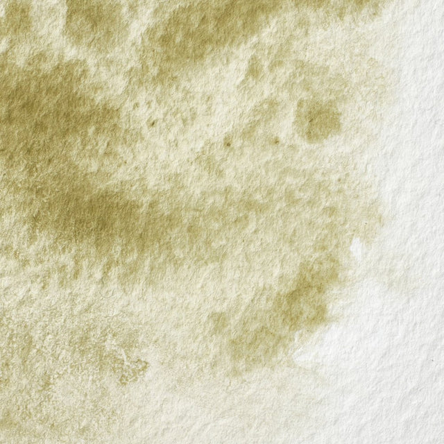 Winsor & Newton Professional Watercolour Terre Verte (Yellow Shade)