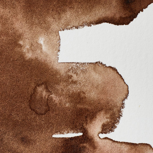 Winsor & Newton Professional Watercolour Vandyke Brown