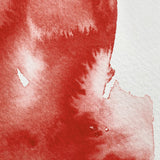 Winsor & Newton Professional Watercolour Winsor Red