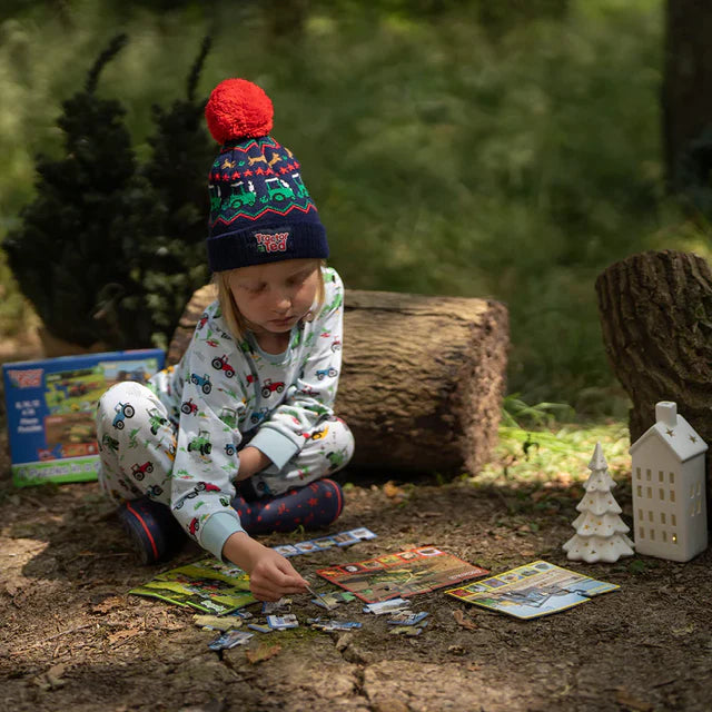 Tractor Ted 4 Puzzles in a Box - Seasons