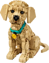Toy dog made of interlocking bricks on a white background