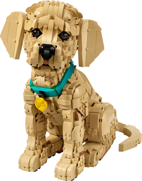 Toy dog made of interlocking bricks on a white background