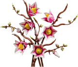 LEGO Botanicals - Magnolia Branches
