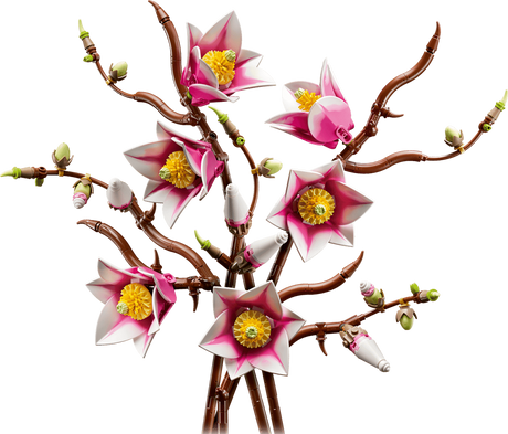 LEGO Botanicals - Magnolia Branches