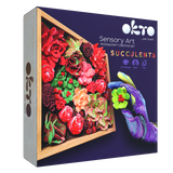 Okto Sensory Art Woodcraft Creativity Set Succulents, featuring a dark purple box with a photo of colorful succulents in a wooden tray and a hand wearing a purple glove holding a green succulent.