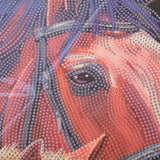 Crystal Art Scroll Kit 40x50cm - Chestnut Mares