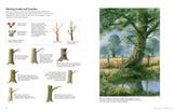 Painting Watercolour Trees the Easy Way Book