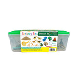 Sensory Bin - Dinosaur