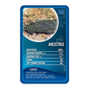 Top Trumps Freshwater Fish Card Game