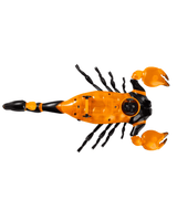Toy RC Fire Scorpion LED