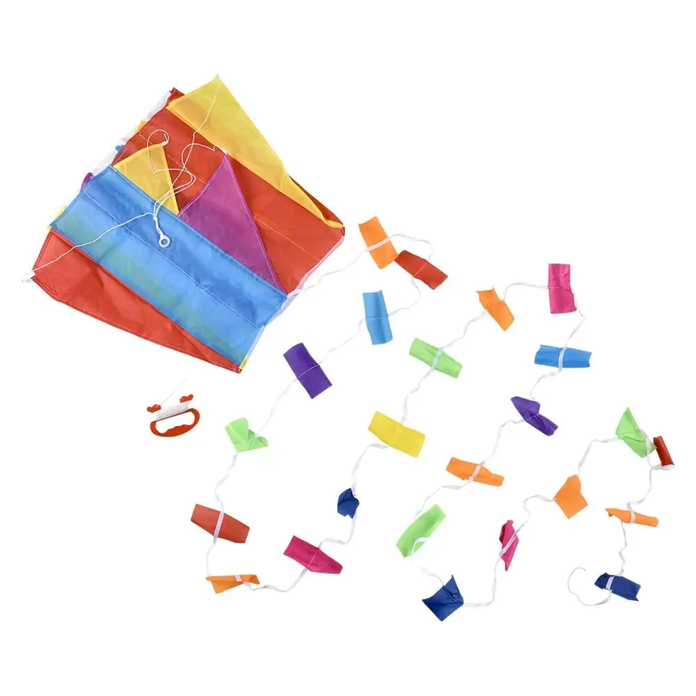 Parafoil Kite In Bag 60cm x 51cm (Assortment)