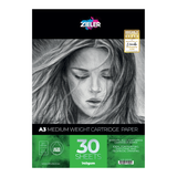 Zieler A3 Cartridge Pad (30 Sheets)