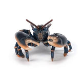 Papo Lobster