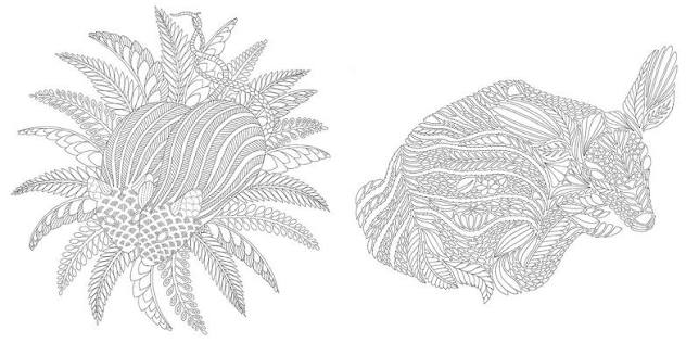 Brilliant Beasts Colouring Book