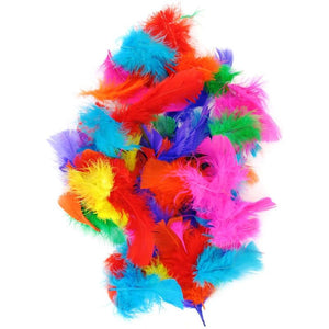 Assorted Colour Feathers Pack Of 200