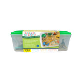 Sensory Bin - Dinosaur