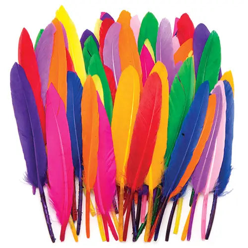 Mini Coloured Quill Feathers (Pack of 80)