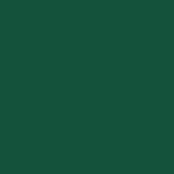 Porcelaine 150 Paint 45ml - Olivine Green