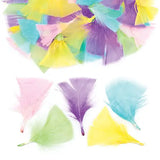 Pastel Craft Feathers (Pack of 120)