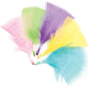 Pastel Craft Feathers (Pack of 120)