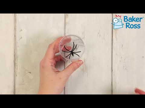 Insect Bug Jars (6 Pack)