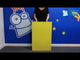 Large Coloured Presentation Boards (4 Pack)