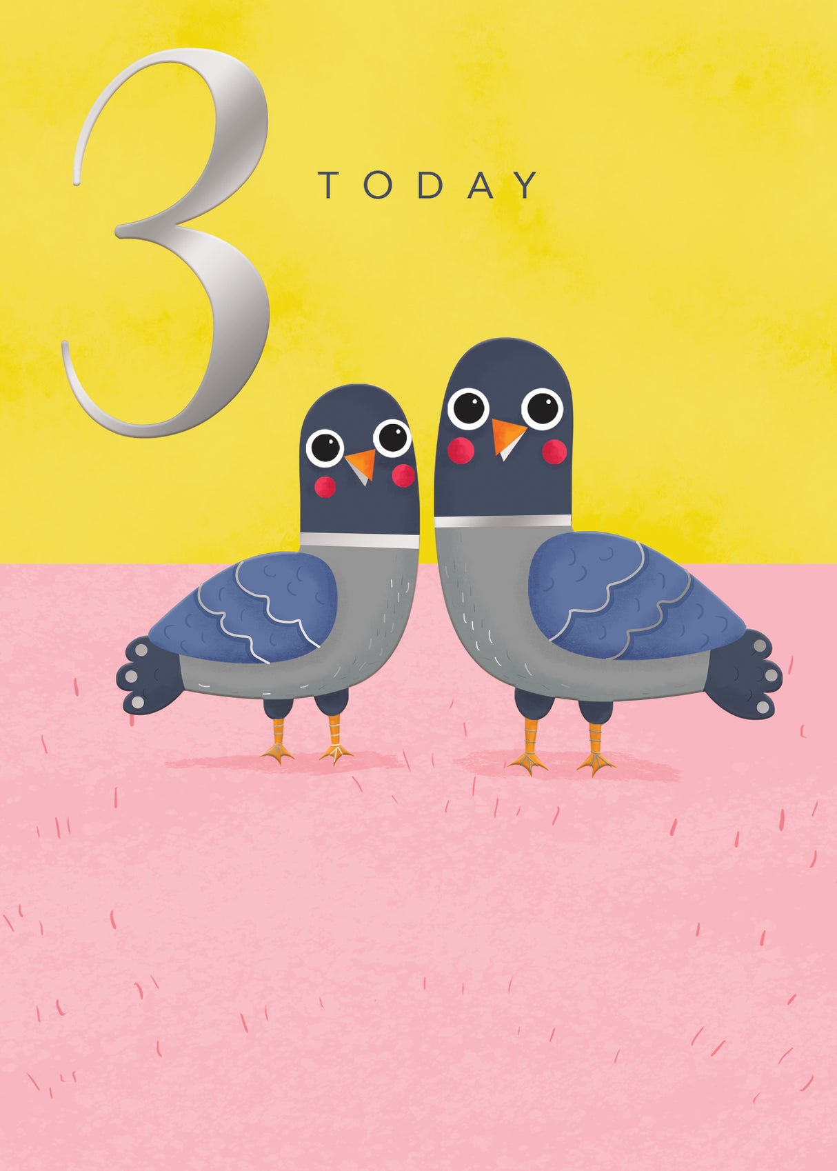 Age 3 F - Pigeons