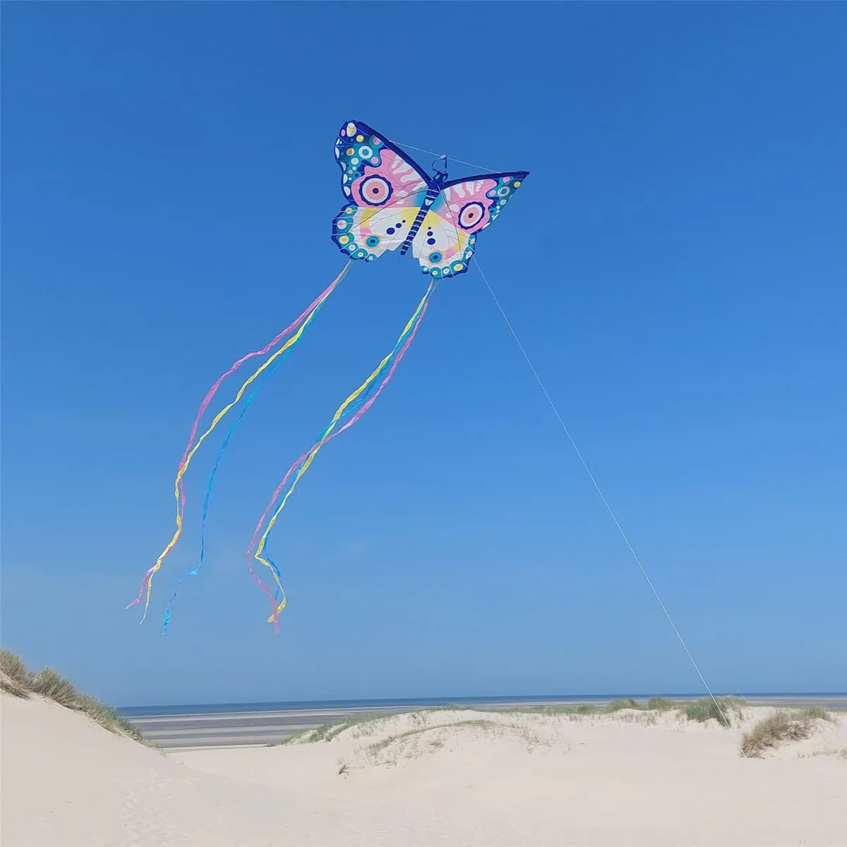 Djeco Kite Maxi Butterfly