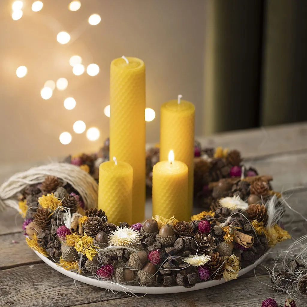 Eucalyptus Cones 25g