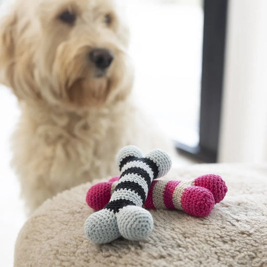 Mini Craft Kit Crochet Dog Bone