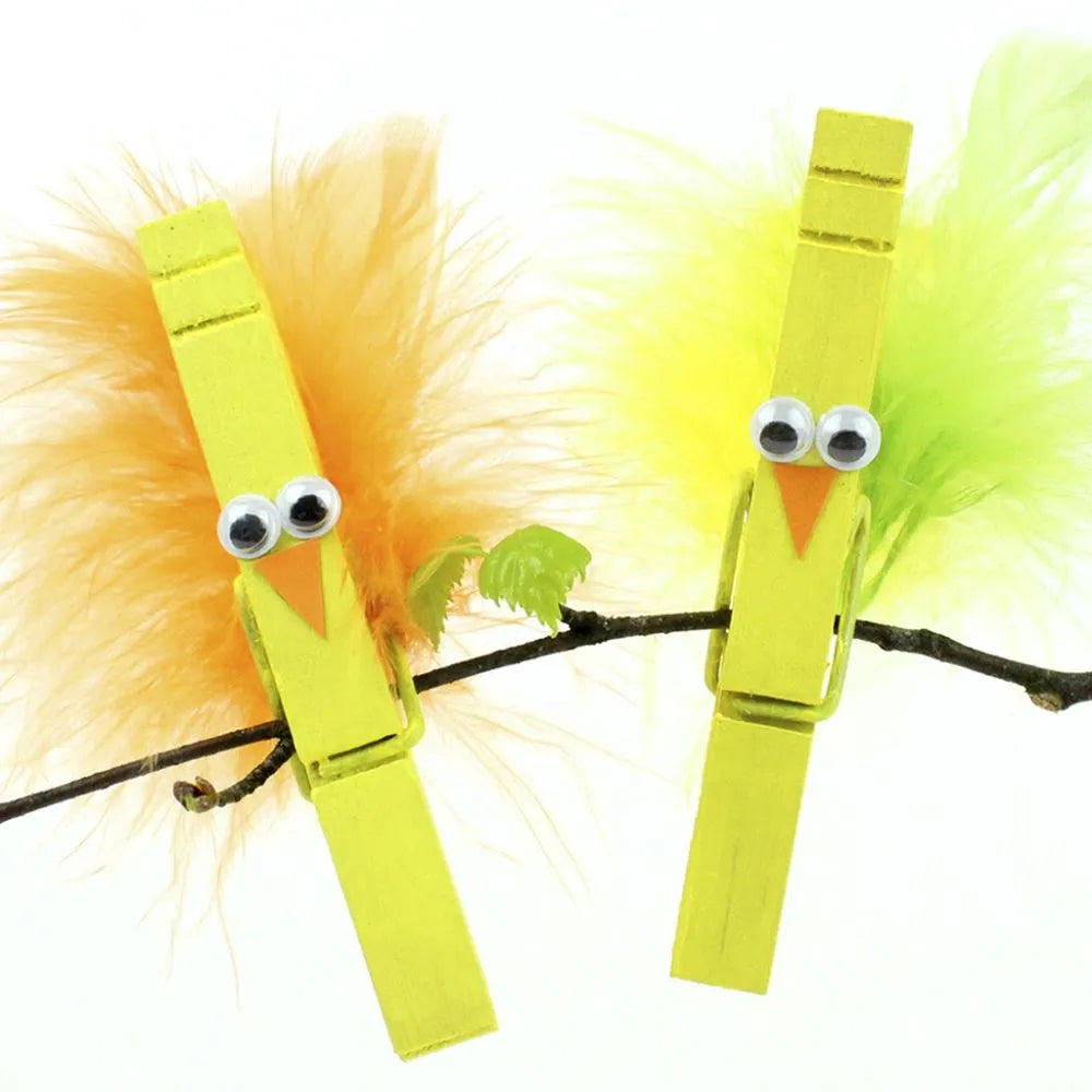 Feathers Assorted Colours 18 bundle