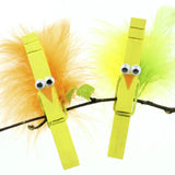 Feathers Assorted Colours 18 bundle